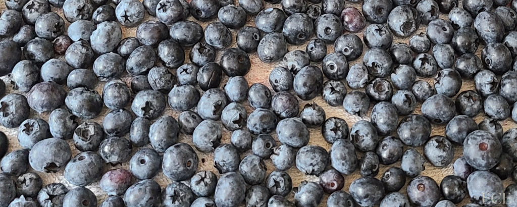 blueberries
