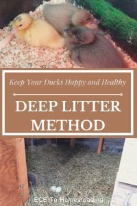 deep litter method